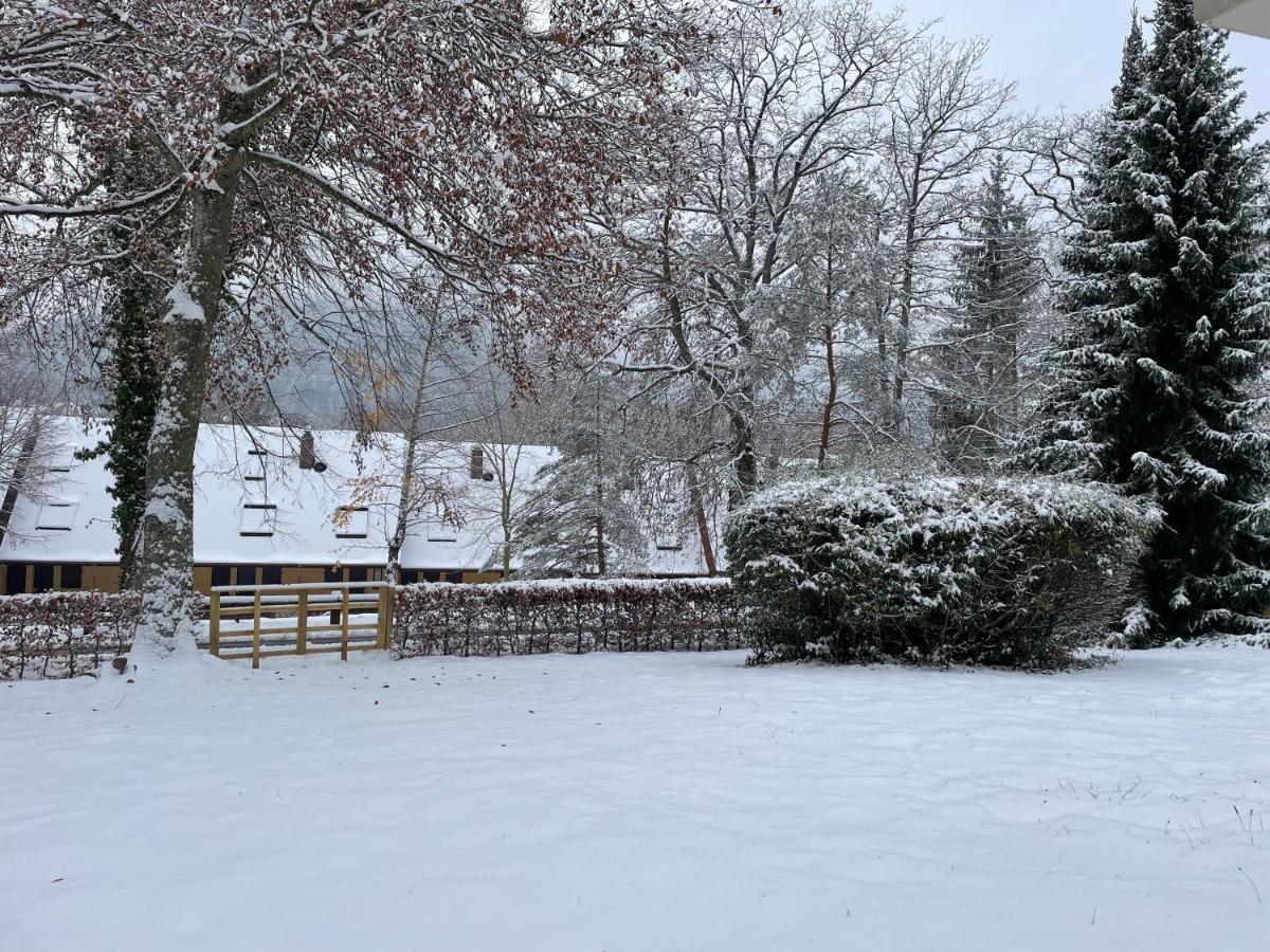 Charmant Studio En Pleine Nature Klingenthal Dış mekan fotoğraf